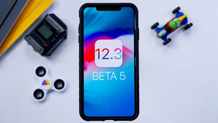 Apple Releasing Fifth iOS 12.3 Developer and Public Betas Yesterday