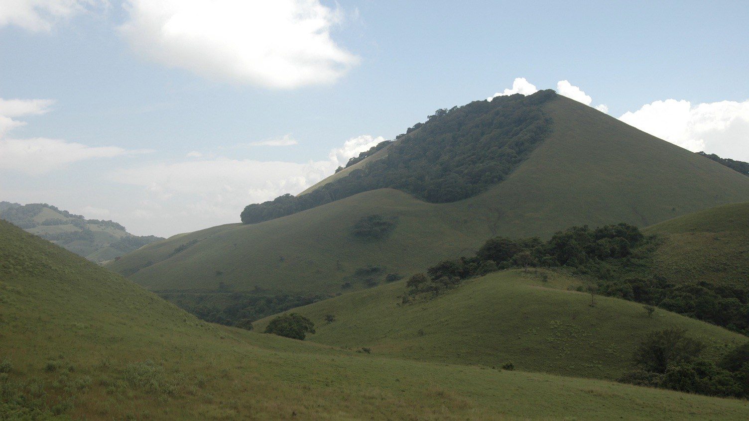 Apple Teams up With Conservation International to fund Restoration in Kenya’s Chyulu Hills